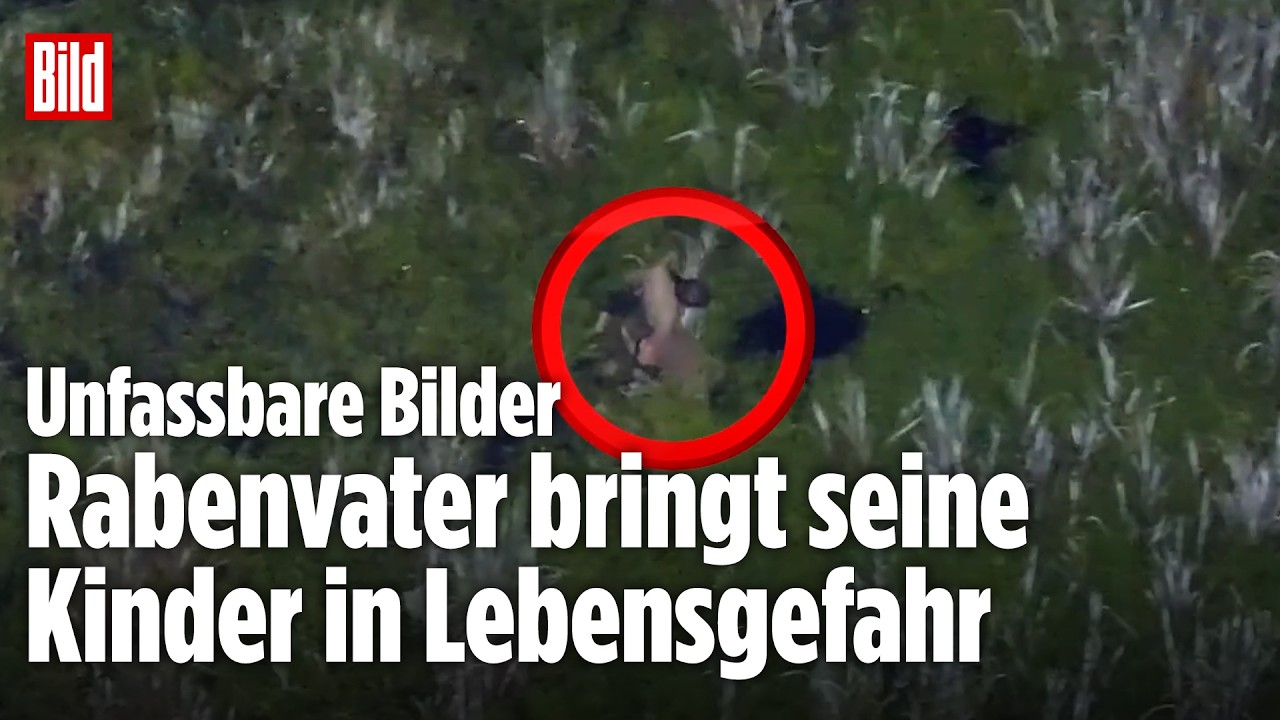 Betrunkener Vater zerrt Kinder nach Alkoholfahrt durch Alligator-Sumpf