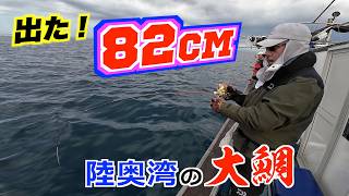 【真鯛】釣れそうで釣れない80cmオーバー。SIBUプロが見事にゲットし、悲願のハチマル倶楽部に御入会!🎉Congratulations👏