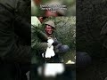 Colorized Footage Shell Shocked Soldier 1916 Ww1 Ai