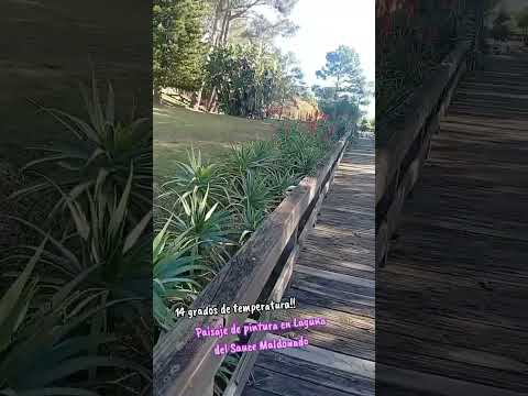 Laguna del Sauce Maldonado Uruguay