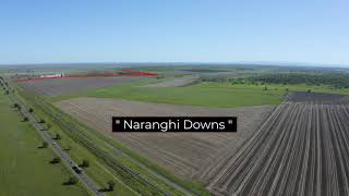 379 Richards Road, JONDARYAN, QLD 4403