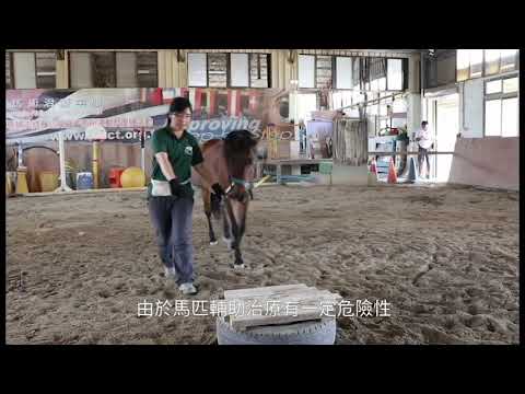 有我，動物才能真正療癒你──你不知道的動物輔助治療師