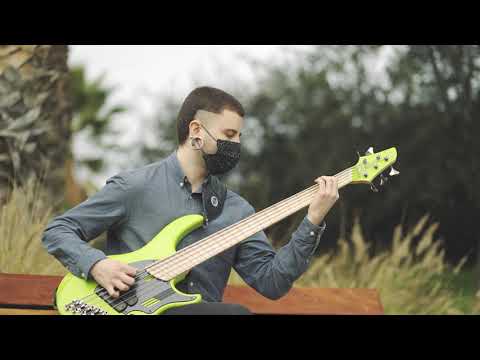 The Antarctica Project - Faceshifters (Bass Playthrough)