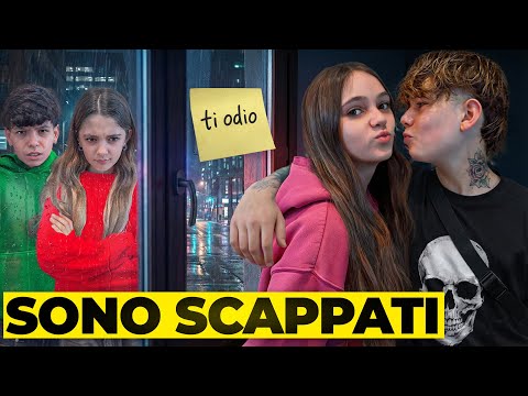 Barbara Mirko & LD3 and 4 more