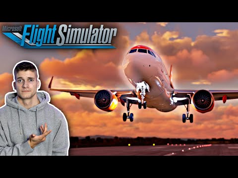 Schöner Anflug auf Basel! Microsoft Flight Simulator - VATSIM - AeroSimGermany