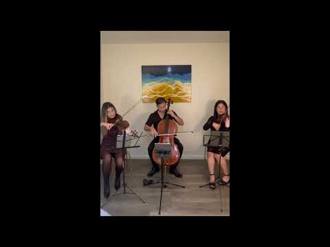 Promotional video thumbnail 1 for Aristo Strings NYC