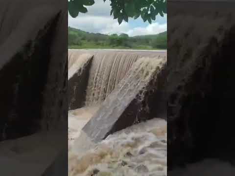 Grande Chuva  11/05/26 em Frutuoso Gomes RN #viral #nordeste #sertanejo #shorts #inverno #rn #chuvas