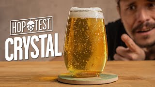 Lúpulo Americano com cara de Nobre!