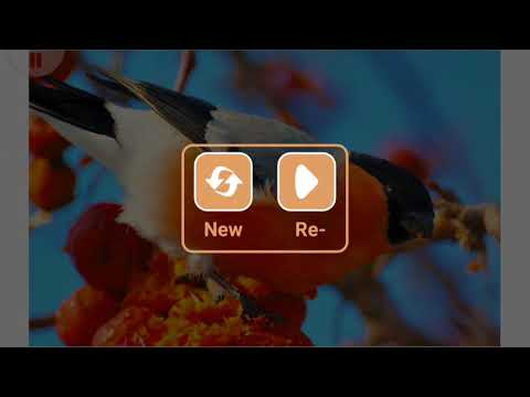 Sparrows Puzzle Video