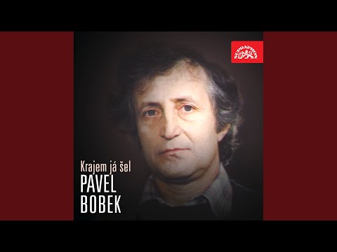 Křížem krážem (Don´t Forget To Remember)