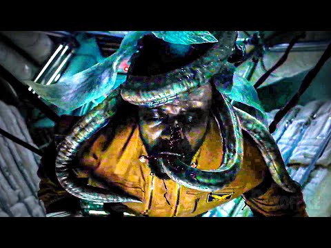 Watch your holes! Tentacles incoming! | Life | CLIP