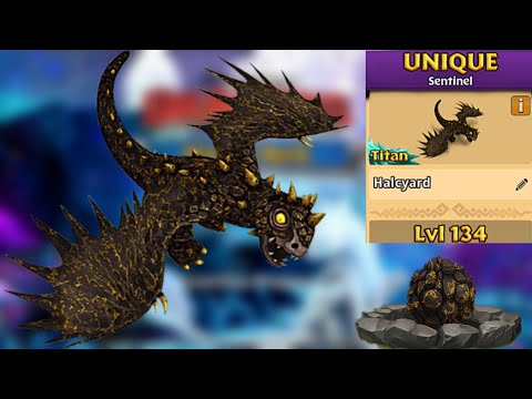 Halcyard Max Level 134 Titan Mode - New Unique Sentinel - Dragons:Rise of Berk