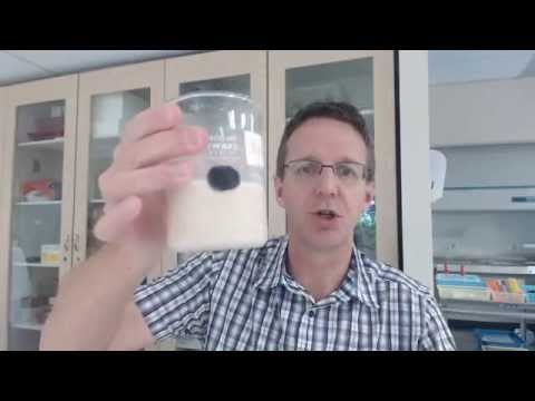 Yeast Catalase Lab Demo