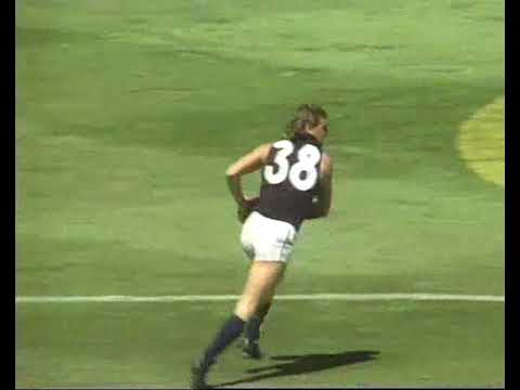 1990 Reserves Grand Final Q2-Q4.  Melbourne v Carlton