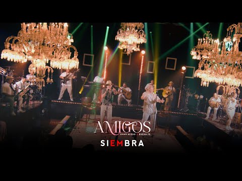 @omaracedo + @buenafe-1999 - Siembra