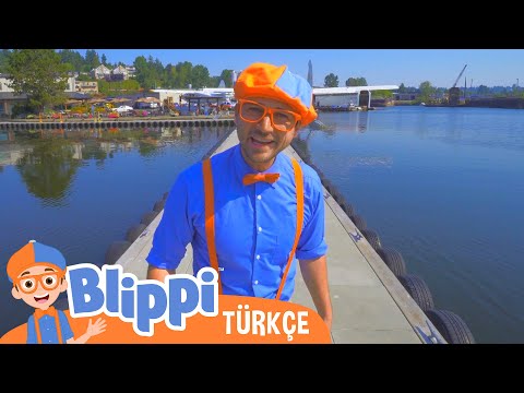 Blippi Deniz Uçağı Keşfediyor | Blippi Türkçe - Çocuklar için eğitici videolar | Türkçe Dublajlı
