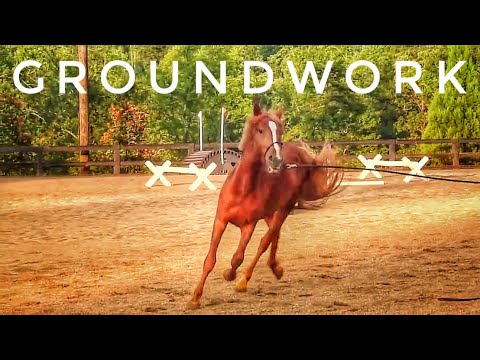 Groundwork | 2012 Extreme Mustang Makeover
