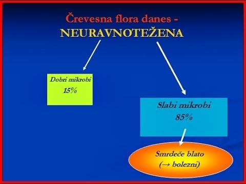 Blagor iz Črevesja 1.del - Srečanje z Dr. Iztok Ostanom
