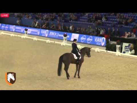 WDM Mechelen 2015 #6 in CDI 5* WDM VIAN GROUP GP Fanny Verliefden & Annarico