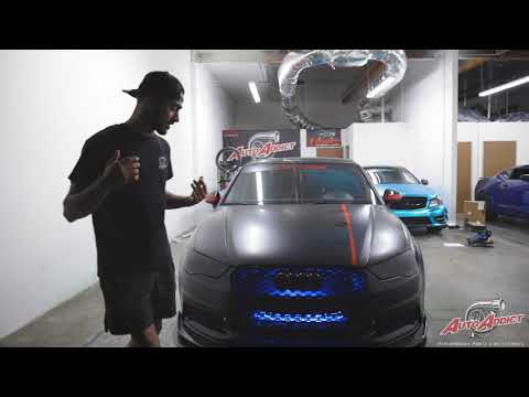 Audi Quattro Underglow Highlights And Delivery Reaction! // Diode Dynamics