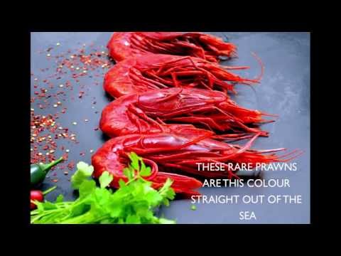 download lagu mp3 mp4 Carabineros Jumbo Prawns, download lagu Carabineros Jumbo Prawns gratis, unduh video klip Carabineros Jumbo Prawns