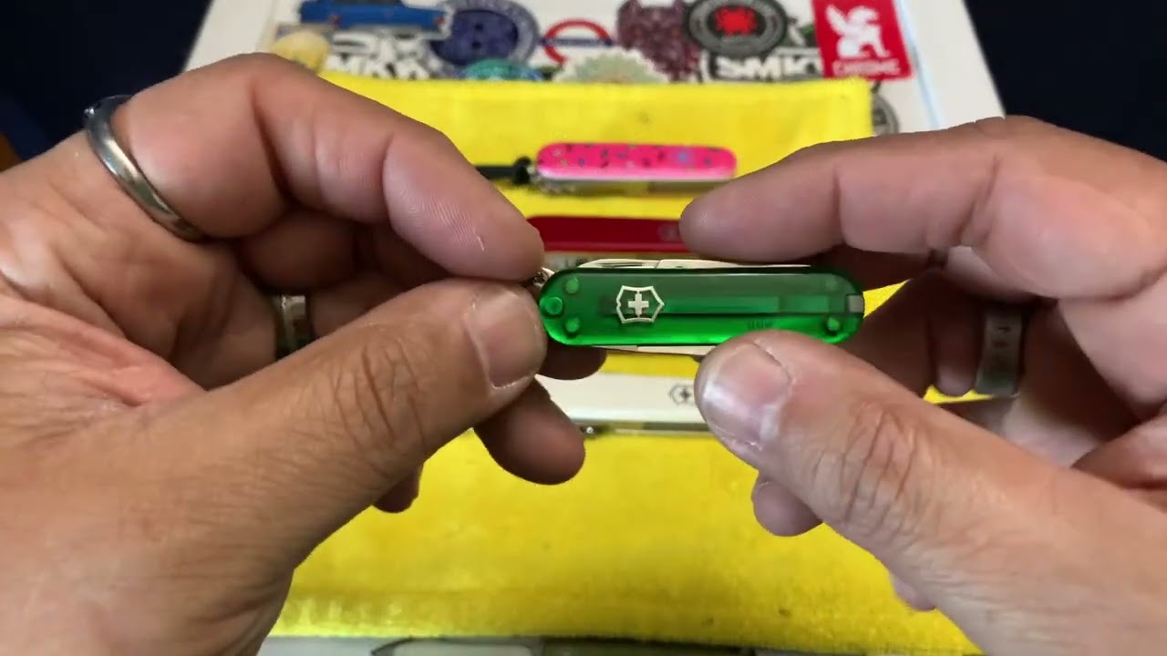 “State of The Collection” @SigogglinJack