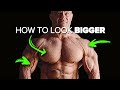 The Most Important Muscles To Train To Look Bigger