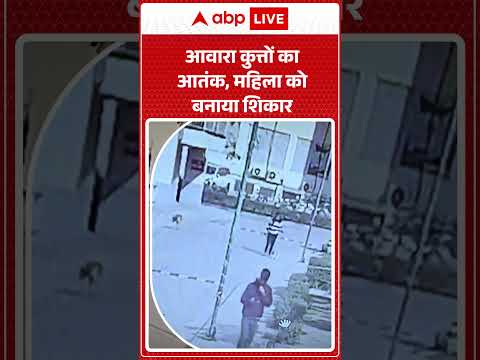 Local News: आवारा कुत्तों का आतंक, महिला को बनाया शिकार| Dog Attack | Stray Dogs | Shorts