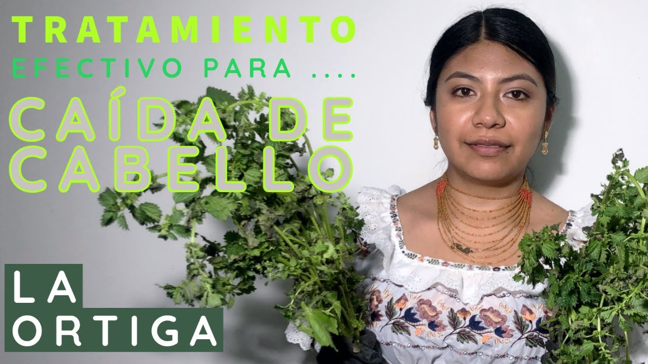 INDIGENA: RECOMIENDA TRATAMIENTO ANCESTRAL para CAIDA del CABELLO | ORTIGA🍀 - Luxory-EM👌