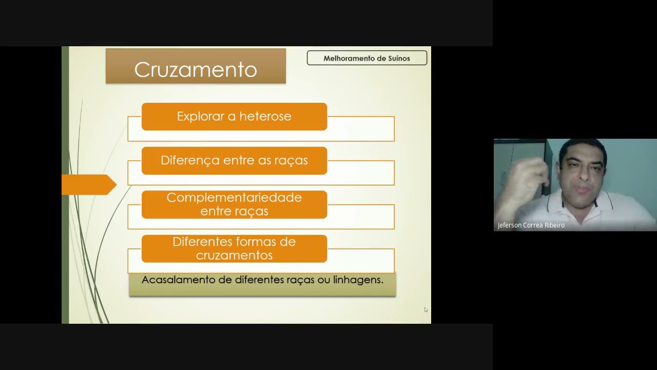 Aula 5 - Melhoramento Aplicado de Suínos - Principais cruzamentos em suinocultura