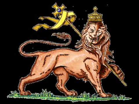 Kodydakillah - Vidi cumu brusciu