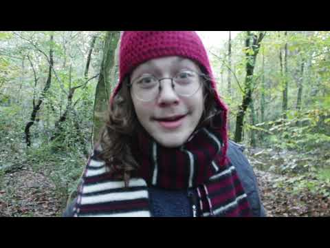 SUNNYMAC X WILF MERSON - "ESTIMATED BUG POPULATION" (MUSIC VIDEO)