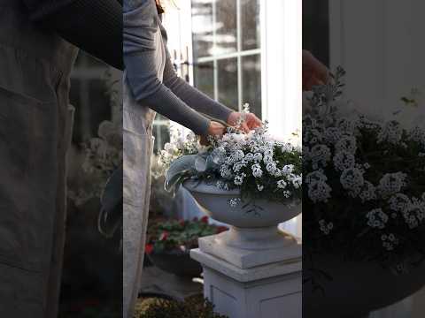 植物を暖めるのに適した冬のベールは何ですか?リーダーに従う ！  庭園