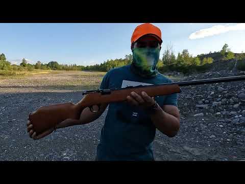 Cooey 39 and CIL 22LR | Punjabi | #vlog