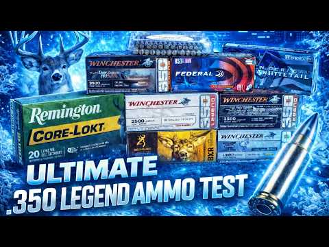 WHOTEEWHO CLIPS and WHO_TEE_WHO