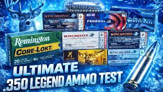 The TRUTH About .350 Legend (Nobody Wants to Admit This)
