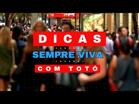 Sempre Viva com Totó