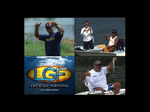 LGF 152:  "Old School" Hilo Mullet!