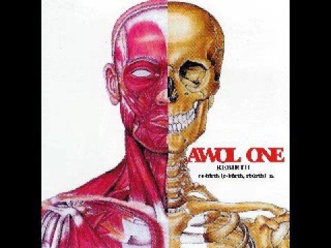Awol one - Revolution