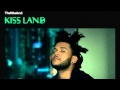 The Weeknd - Tears In The Rain (Kiss Land ...