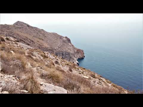 Der unveränderliche Gott