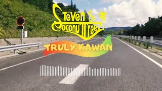 Download lagu Steven & Coconuttreez - Truly Kawan mp3