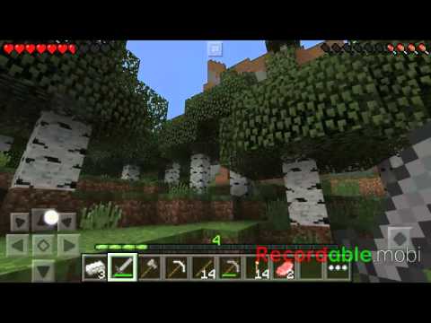 FINENDO LA CASA + ELMO DI FERRO