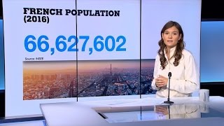 Population studies: France&#39;s &#39;ethnicity&#39; taboo