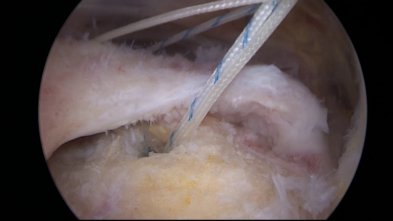 Roberto Postacchini-9