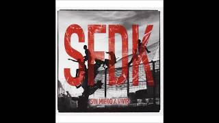 Todo lo que importa *Con Letra - SFDK (con Fyahbwoy)
