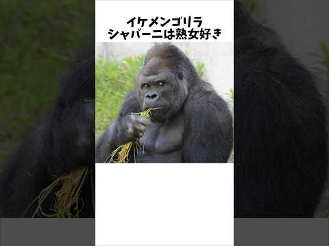 ボノボは自分のグループを超えて協力する