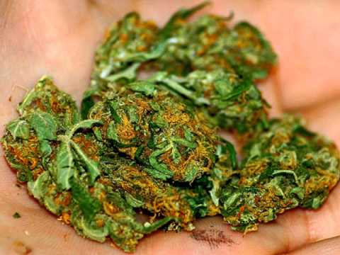 Oun P ft Fred The Godson - Where I'm From