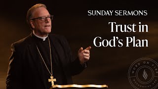Trust in God’s Plan - Bishop Barron’s Sunday Sermon