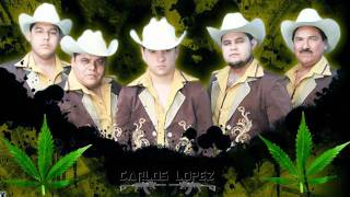 El Herbolario Music Video